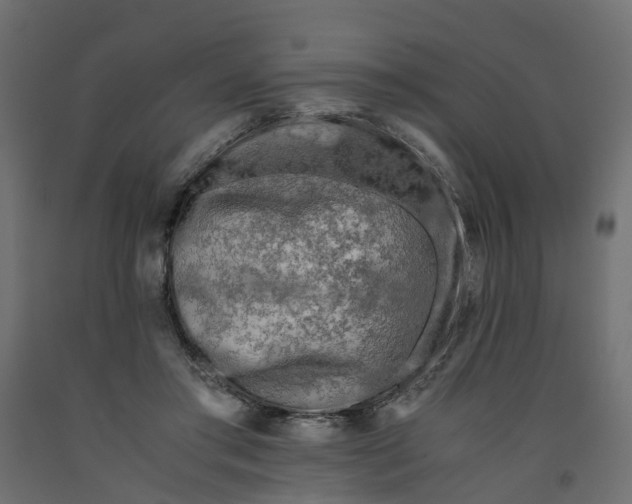 X0000091980405200710041114