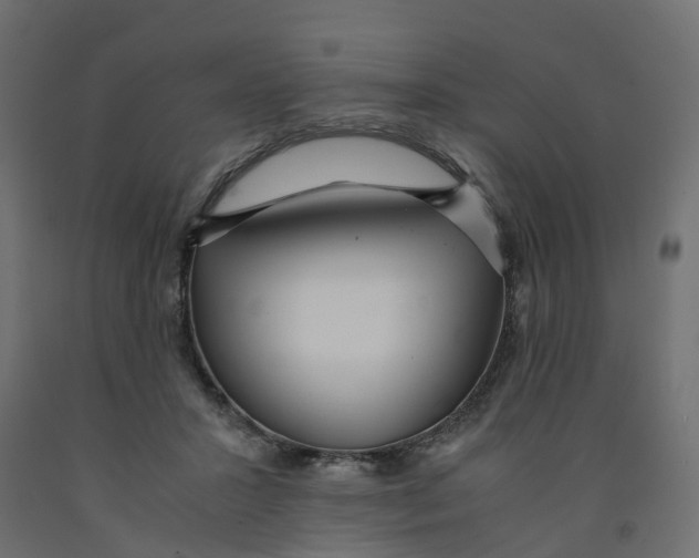 X0000091980407200710041114