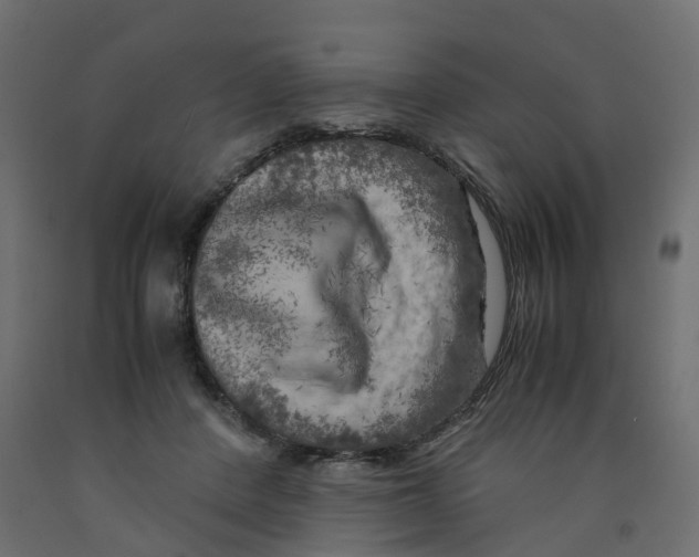 X0000091980408200710041114
