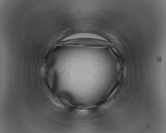 X0000091980409200710041114