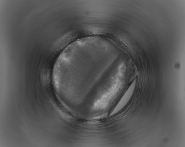 X0000091980410200710041114