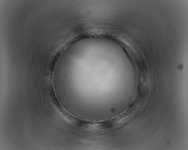 X0000091980411200710041114