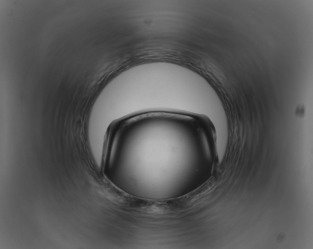 X0000091980412200710041114