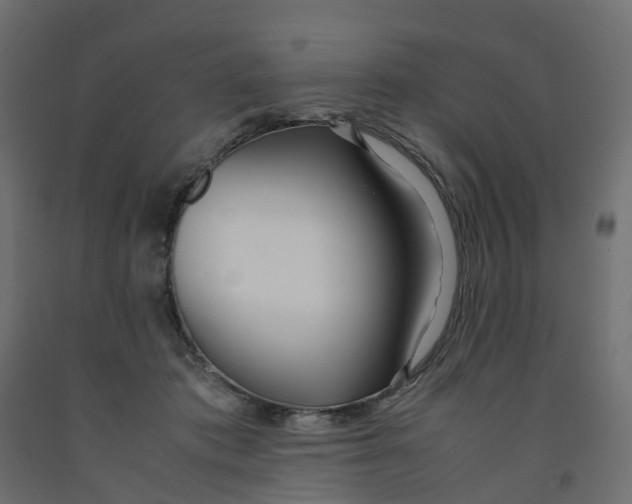 X0000091980413200710041114