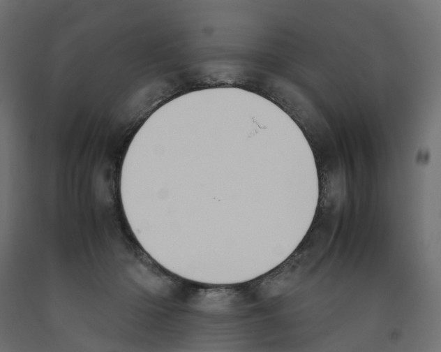 X0000091980414200710041114