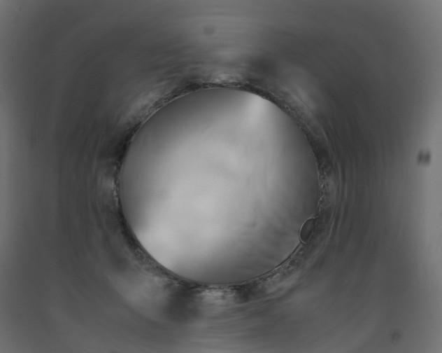 X0000091980415200710041114