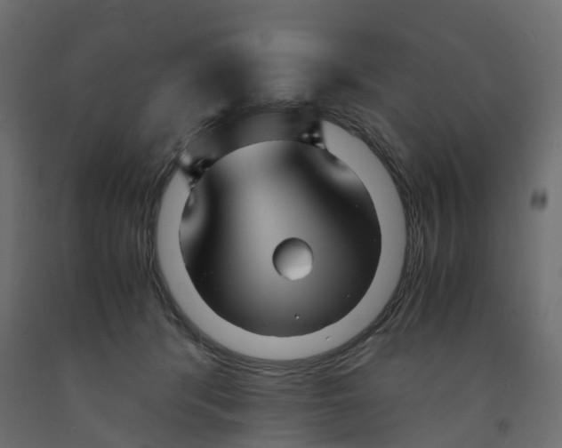 X0000091980416200710041114