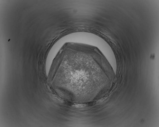 X0000091980417200710041114