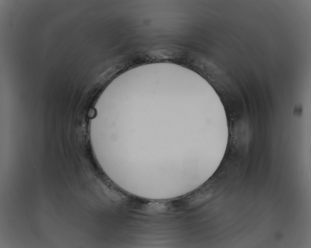 X0000091980418200710041114