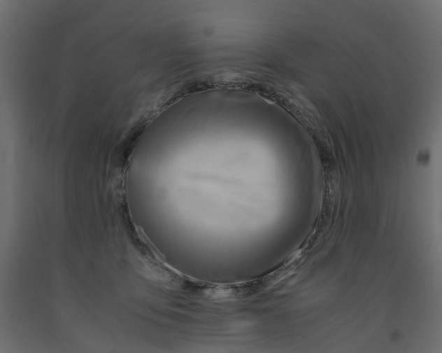 X0000091980419200710041114