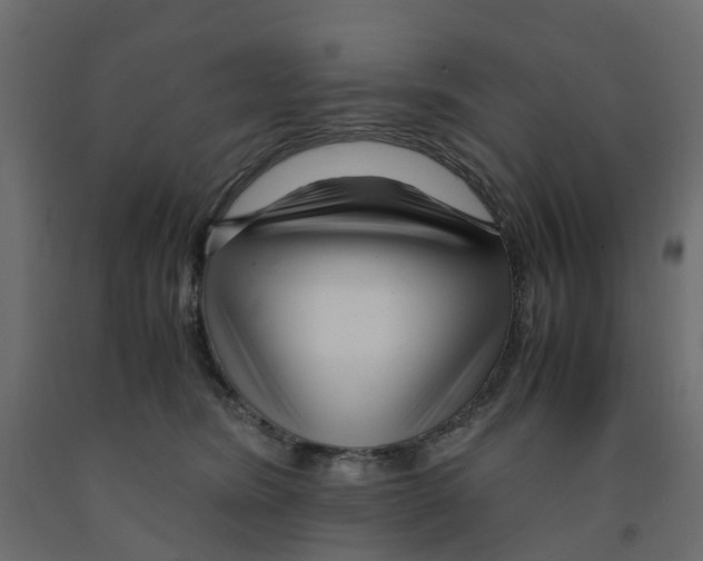 X0000091980420200710041113