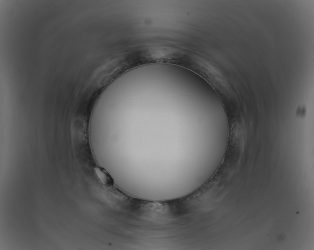 X0000091980421200710041113