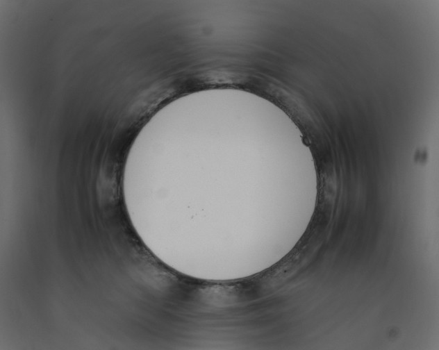 X0000091980422200710041113