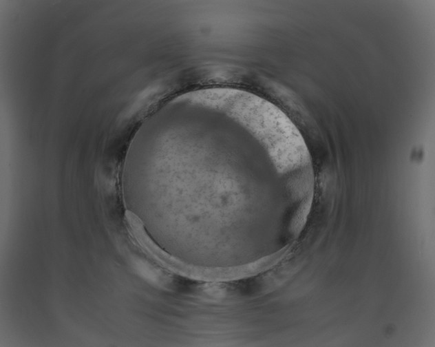 X0000091980423200710041113