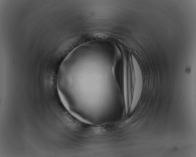X0000091980424200710041113