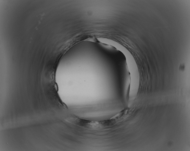 X0000091980425200710041113