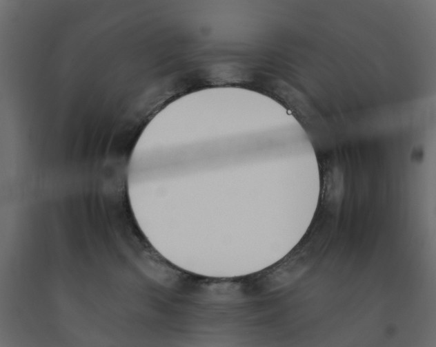 X0000091980426200710041113