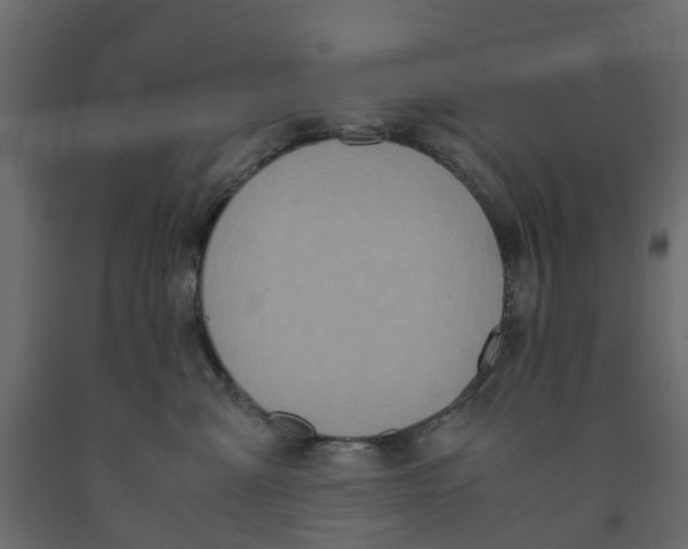 X0000091980427200710041113