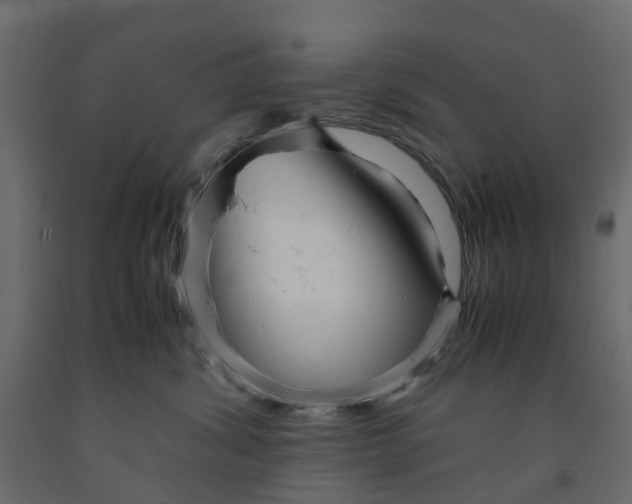 X0000091980428200710041113