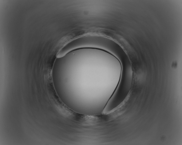 X0000091980429200710041113