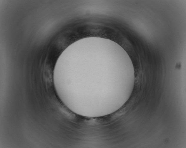 X0000091980430200710041113