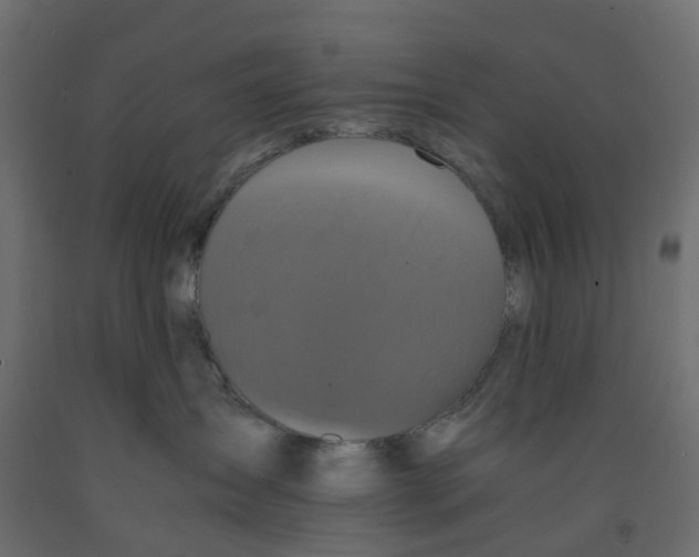 X0000091980431200710041113