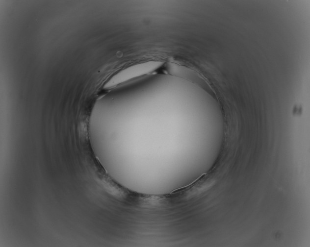 X0000091980432200710041113