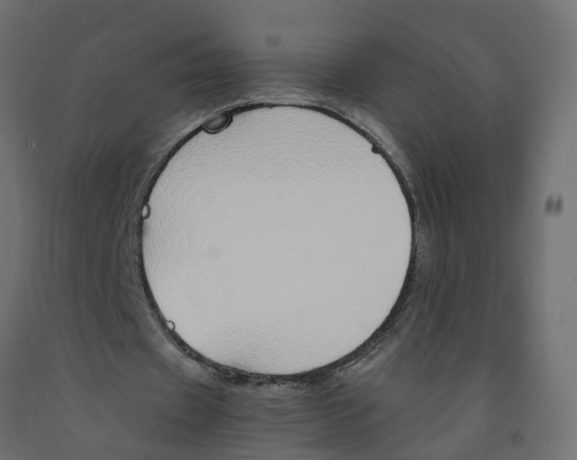 X0000091980433200710041112