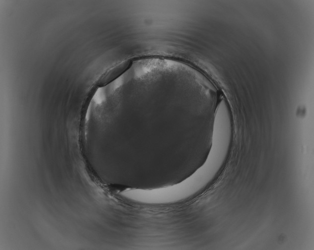 X0000091980434200710041112