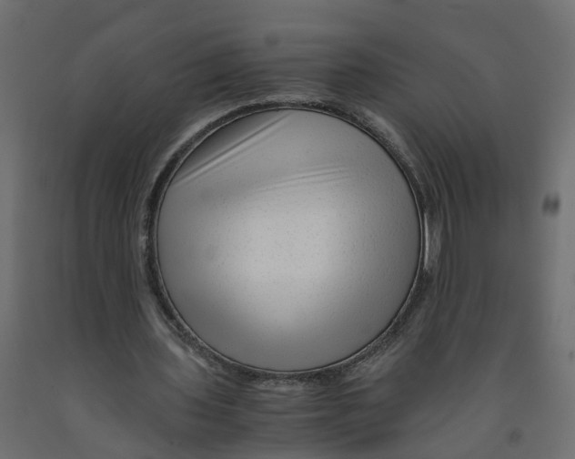 X0000091980435200710041112