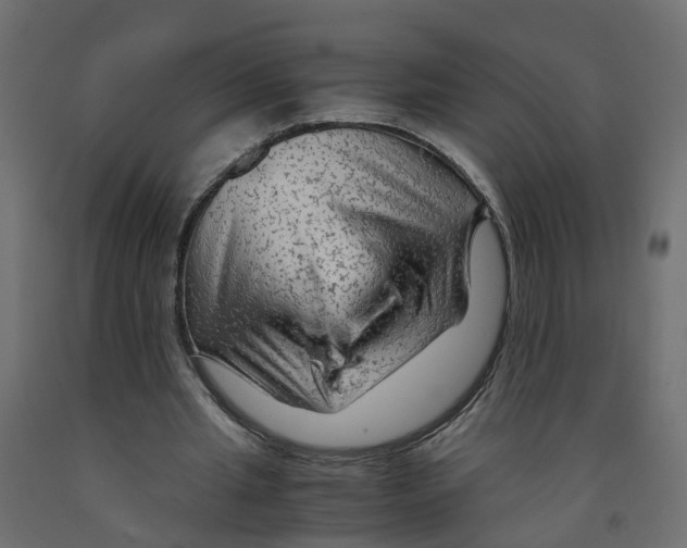 X0000091980437200710041112