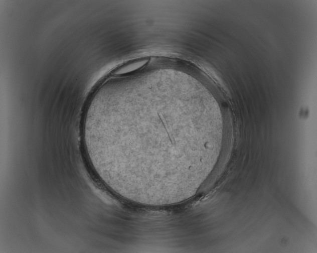 X0000091980438200710041112