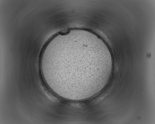X0000091980439200710041112