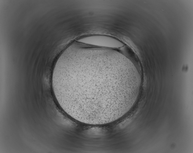 X0000091980441200710041113