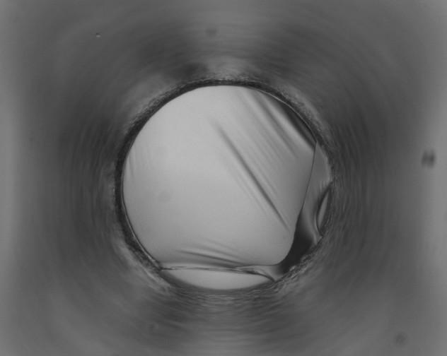 X0000091980442200710041113