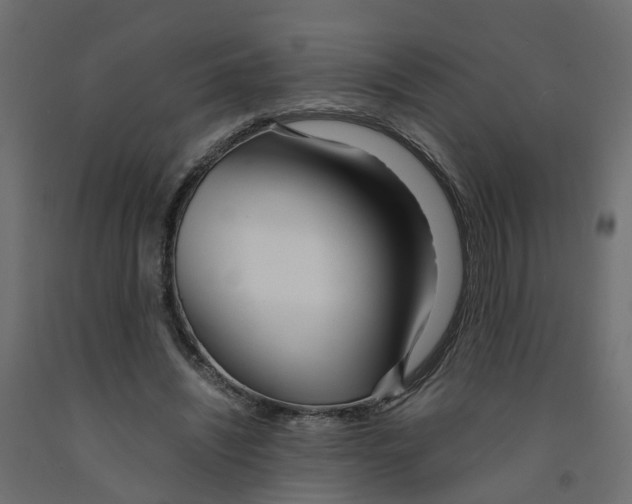 X0000091980444200710041113