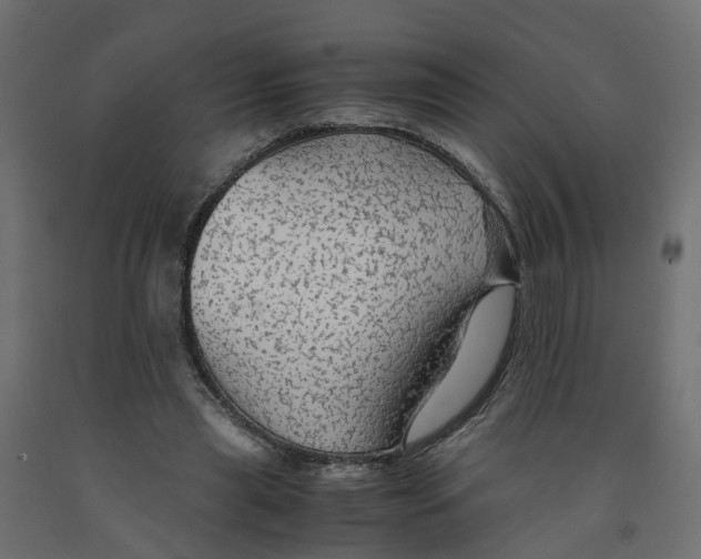 X0000091980445200710041113