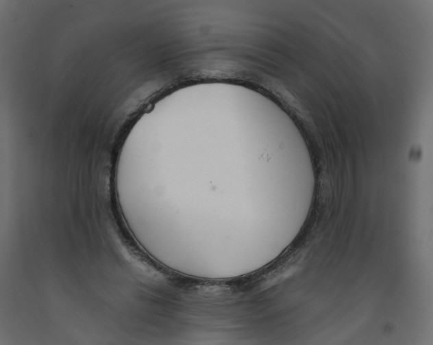 X0000091980446200710041113