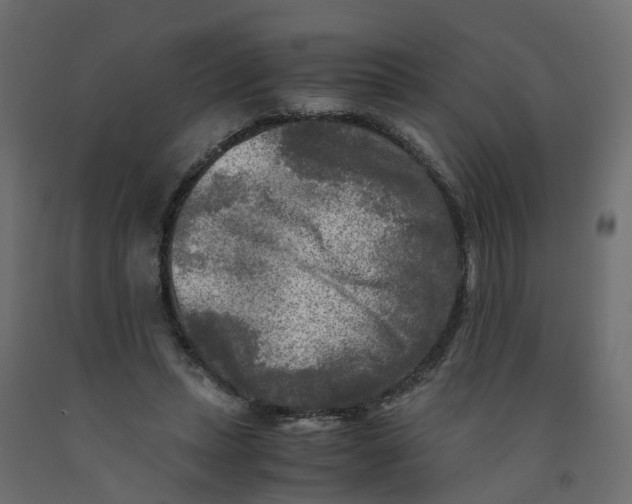 X0000091980447200710041113