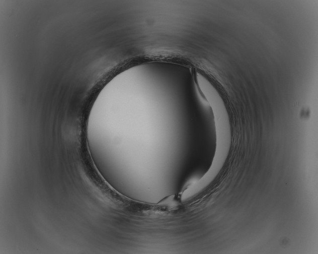 X0000091980448200710041113