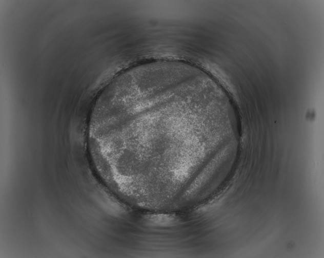 X0000091980449200710041113