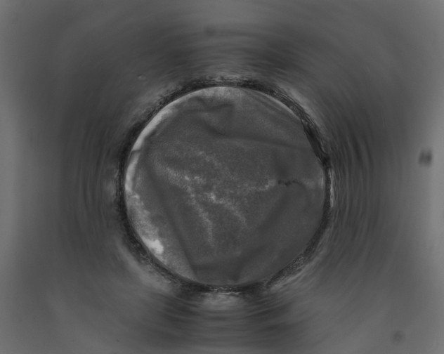 X0000091980451200710041113