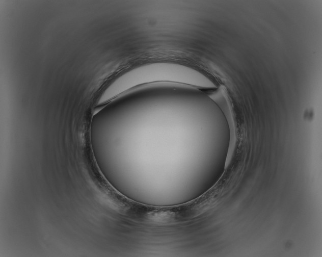X0000091980452200710041113