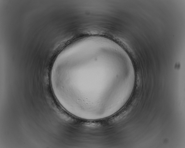 X0000091980453200710041113