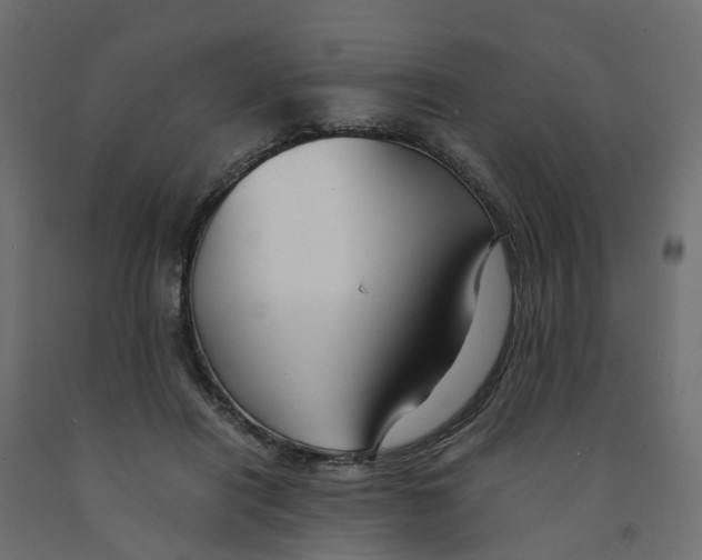 X0000091980454200710041113