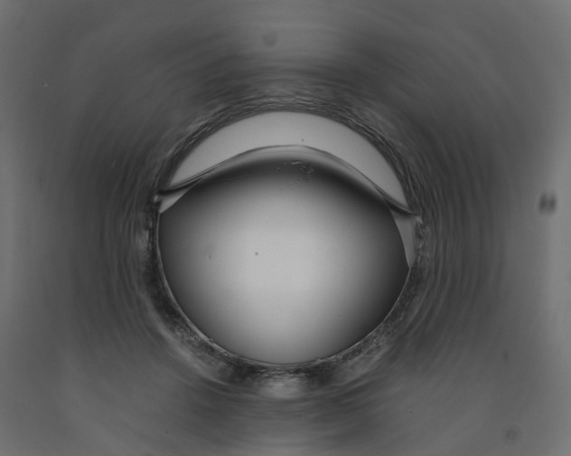X0000091980456200710041113