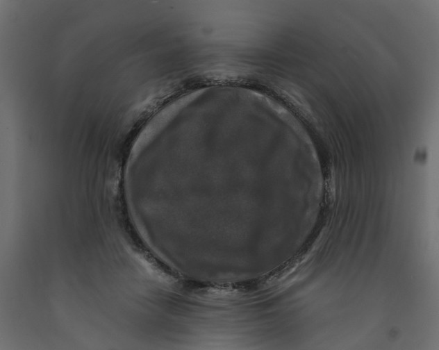 X0000091980458200710041113