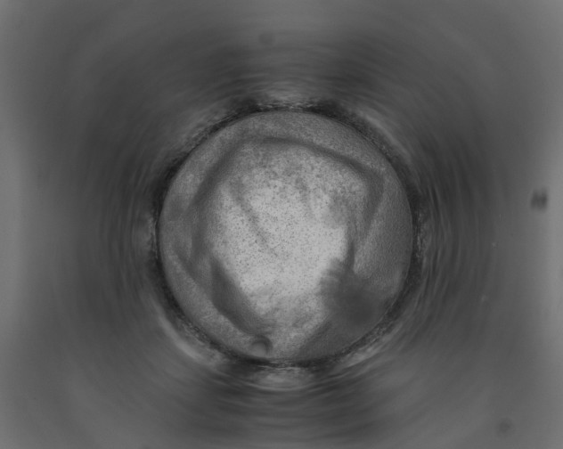 X0000091980459200710041113