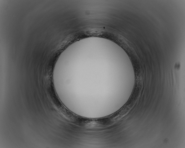 X0000091980460200710041113