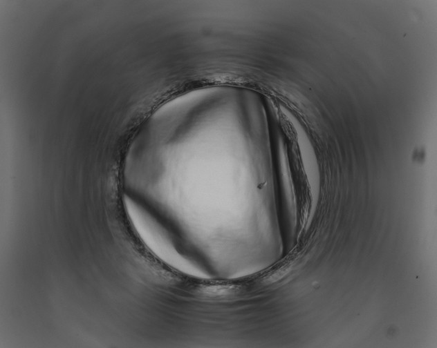 X0000091980461200710041113